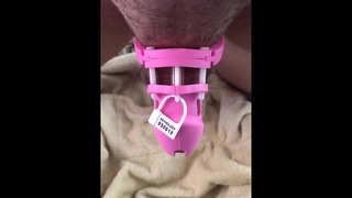 Sissy Trans Tranny Hure Athletisches sexy Mädchen in ihrem süßen rosa kurzen Keuschheitskäfig