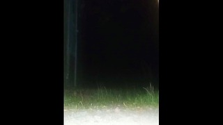 Crossdresser Public Fuck