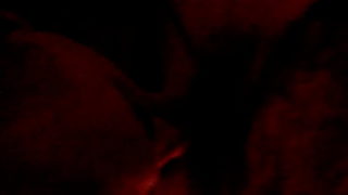 Gay Sex Crossdresser Suck