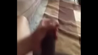 Hung Shemale Jerking Off