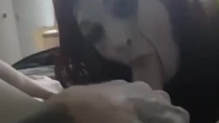 Sexy Tranny Sucks Bwc