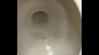 Tranny Fucked Toilet