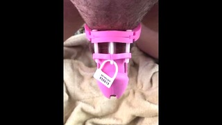 Sissy Trans Tranny Whore Athletic Sexy Girl in Her Darling Pink Short Chastity Cage