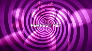 Furry Hypnosis Joi Teaser