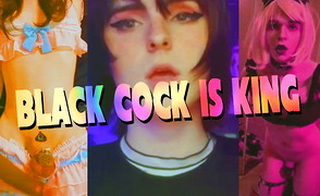Black Cock Is King – BNWO White Inferiority Splitscreen