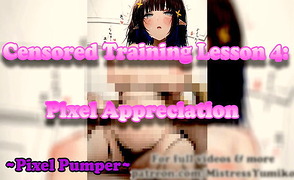Censored Training Lesson 4 – Pixel Appreciation