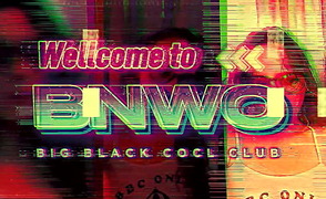 Welcome To BNWO – PMVGO