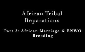 African Tribal Reparations – Part 3 – African Marriage And BNWO Breeding