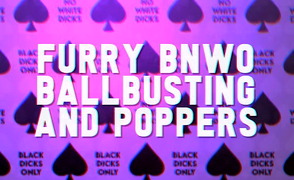 Furry BNWO Ballbusting And Poppers