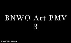 BNWO Art PMV 3