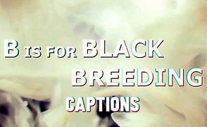 B Is For Black Breeding – Porno Music Compilation – Captions