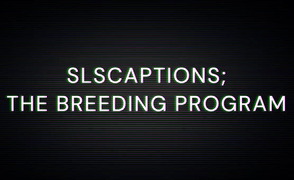 Breeding Program – Sissy Caption Story