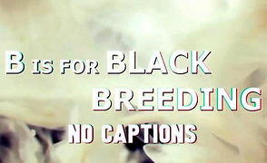 B Is For Black Breeding – Porno Music Compilation – No Captions