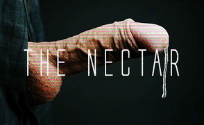 The Nectar – CEI PMV