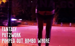 Fantasy – Put2work – Pimped Out Bimbo Whore