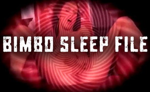 Bimbo Sleep File