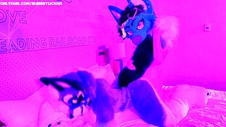 Fucking And Breeding Iceyfoxx In Fullsuit During A Room Party! (Furrydelphia 2025)